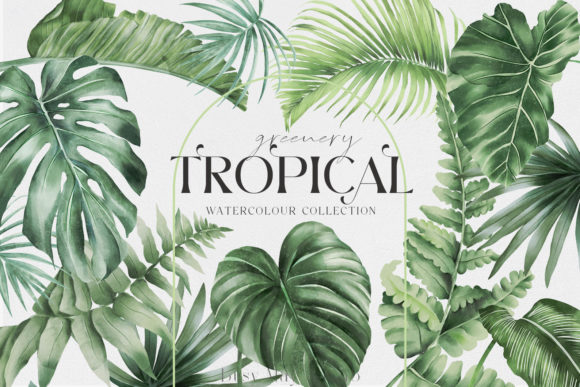 Download Tropical Greenery Jungle Rainforest PNG - Jungle Collection